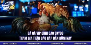 Đá Gà Vip